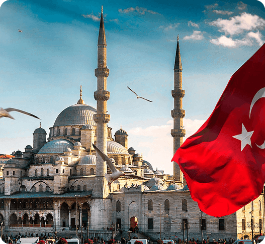 turkey
